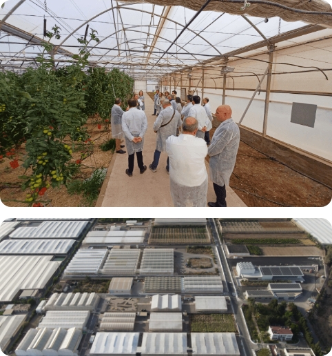 Centro de Experiencias<br> de Cajamar - Las Palmerillas