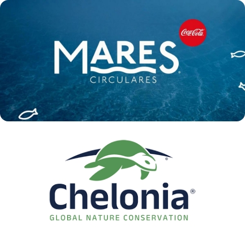 Limpieza Playa del Perdigal (Almería) RM Cabo de Gata-Níjar